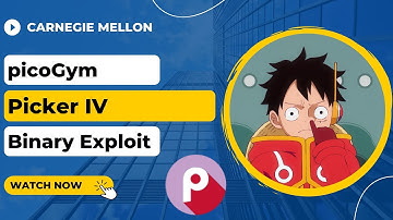 picoGym (picoCTF) Exercise: Picker IV