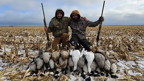 CRAZY 2 MAN GOOSE HUNT IN MANITOBA!! (LIMITED OUT)