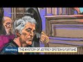 The Mystery of Jeffery Epstein's Fortune, Acosta Plea Deal