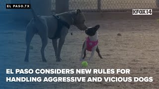 El Paso considers new rules for handling aggressive and vicious dogs