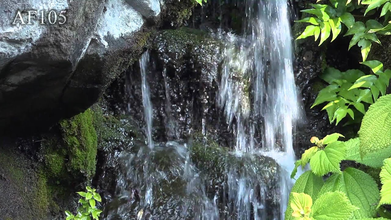 Panasonic AG-AF105 VS Canon Eos 7D Sample image