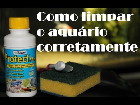 Vídeo: Como limpar rochas e decorações do aquário