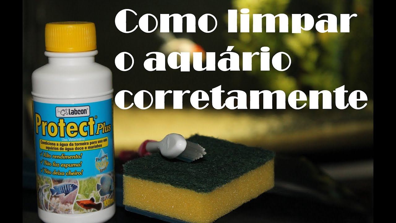 Como limpar o aquário corretamente (água doce)