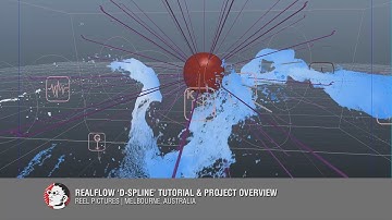 RealFlow Dspline tutorial & project overview
