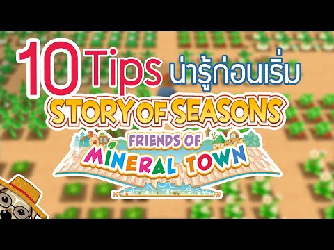 10 Tips น่ารู้ก่อนเริ่ม Story of Seasons: Friends of Mineral Town