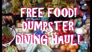 FREE FOOD! ~ AWESOME DUMPSTER DIVE ~ A Car FULL of Groceries! FOREVER FREEGAN!