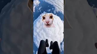 Famous Don’t try this ❌ #shorts #facts #skydiving @Worldtop10az Net Worth