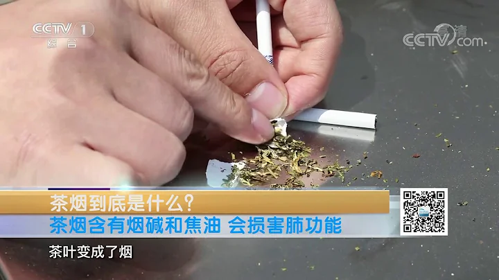 《生活提示》 20201030 茶煙到底是什麼？| CCTV - 天天要聞