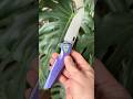 Rike Knife Thor 2 Integral Purple Cyrstalized Titanium Framelock Richard Wu #edc Classic Cystal
