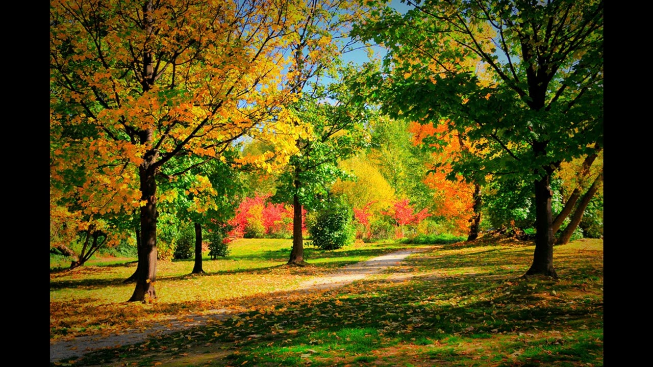 Meetings At The Meadow