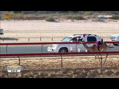 بث مباشر حقاقة للقبائل المرموم 10 12 2025 صباحا 25 شوطا 3 كلم 