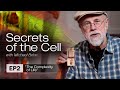 The Complexity of Life (Secrets of the Cell with Michael Behe, Ep. 2)