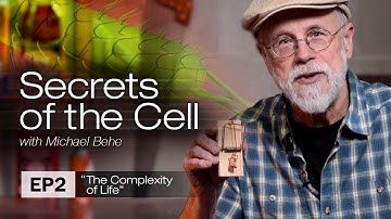 The Complexity of Life (Secrets of the Cell with Michael Behe, Ep. 2)