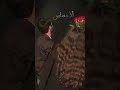 بس خلاص لقيت بحر من الحنية   