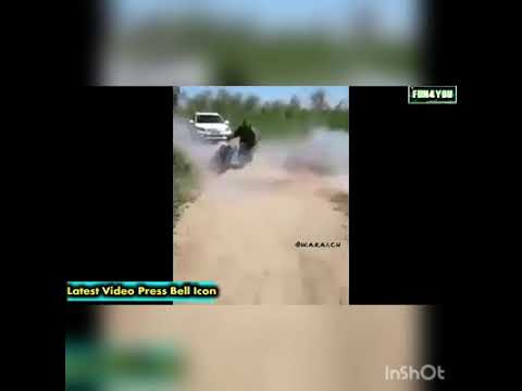 بشويا عليا ههههخخخ
