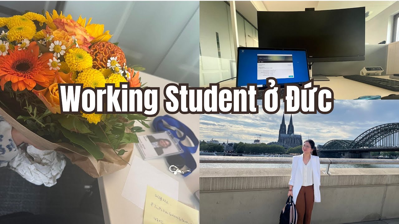 Du học sinh Đức | Cuộc sống của mình đã tươi sáng hơn nhờ công việc Working Student. 🇩🇪