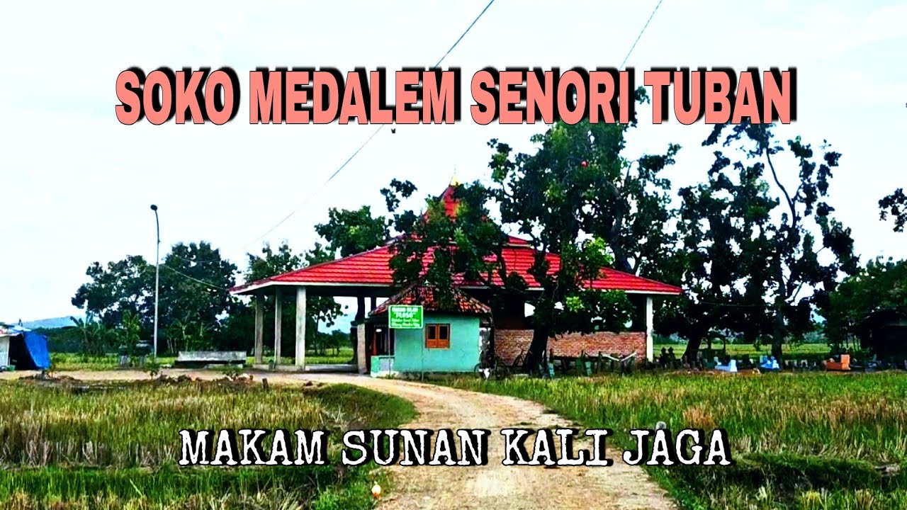 Soko Medalem Senori Tuban part 2