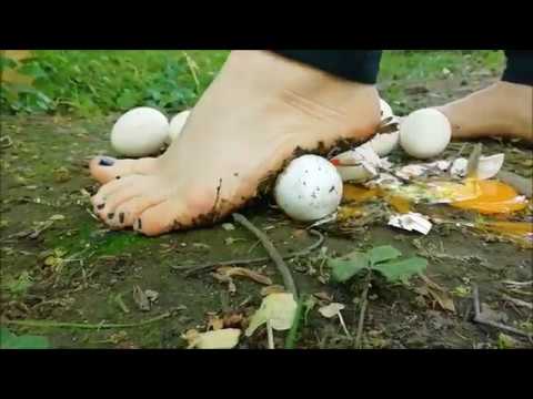 outdoor egg crush