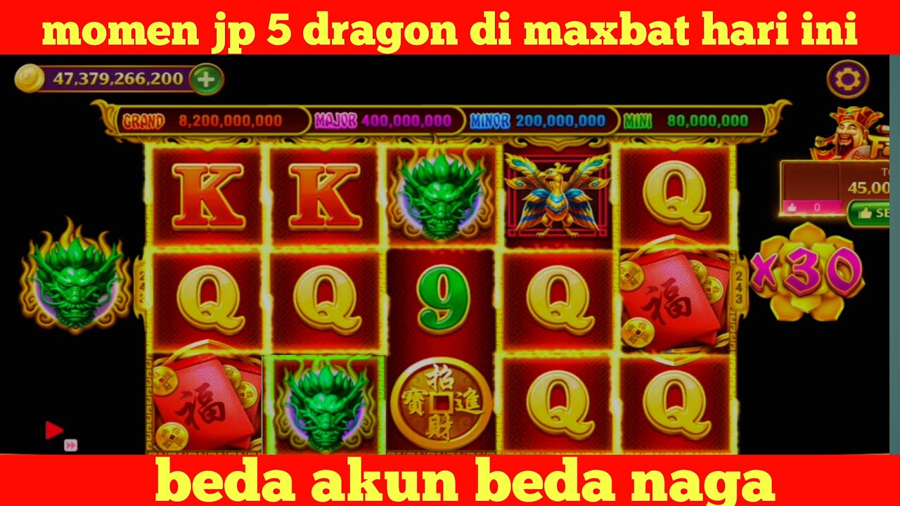 Kumpulan jp 5 dragon di maxbat hari ini || semua beda akun lur 