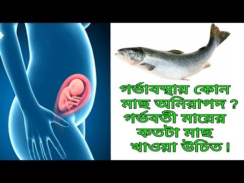 ভিডিও: কেন রান্নার পাইন চর্বিহীন?