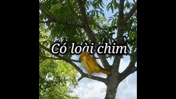 Ôi hàng cây xanh thắm..! Sound: prodbyzenzy #cheems #foryou #viralvideo #fyp #school #meme