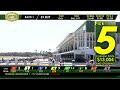 Tampa Bay Downs Live Stream