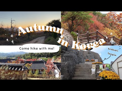 See the Korean Autumn Foliage With Me! (Sobaeksan & Palgongsan National Park)