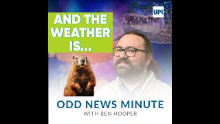 Groundhog Day predictions, mystery photos from old camera