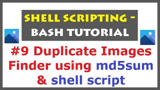 Shell Scripting Tutorial for Duplicate Images Finder | Linux Commands for md5sum