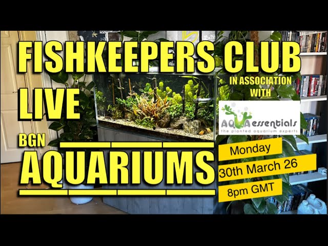 BGN Aquariums Fishkeeper Dedicated To Linda Den Haan-Vos 30/3/26