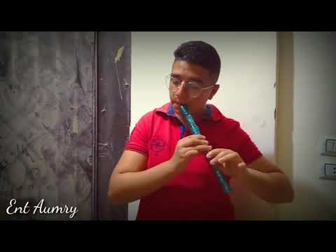 Ent 3ory Cover Flute عزف اغنيه انت عمري على الفلوت
