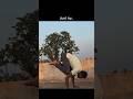 Can You Do It?💀 #shorts #calisthenics #shortsfeed #trending #viral #handstandworkout #ytshorts #yoga