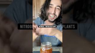 Plants need food too! Make homemade fertilizers out of waste.. creative explained