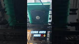 Iceriver ks0 ultra,pro ks2 and Aleo miners