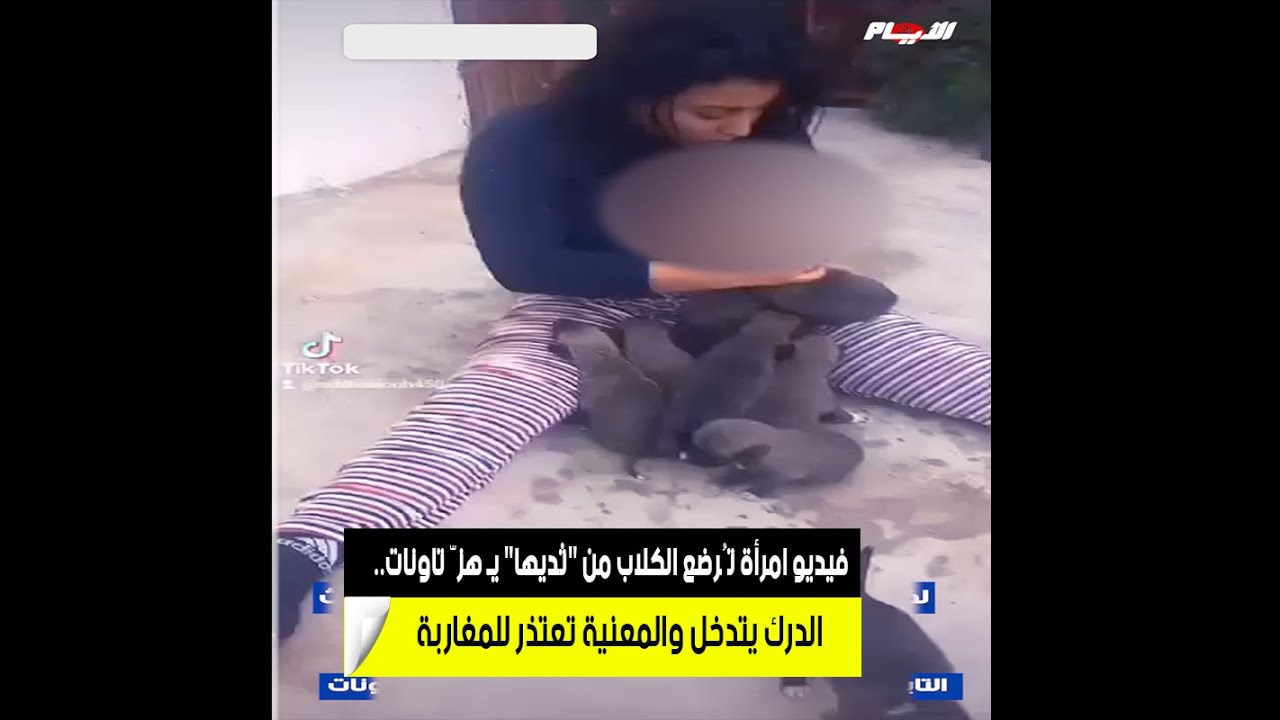فيديو امرأة تُرضع الكلاب من 