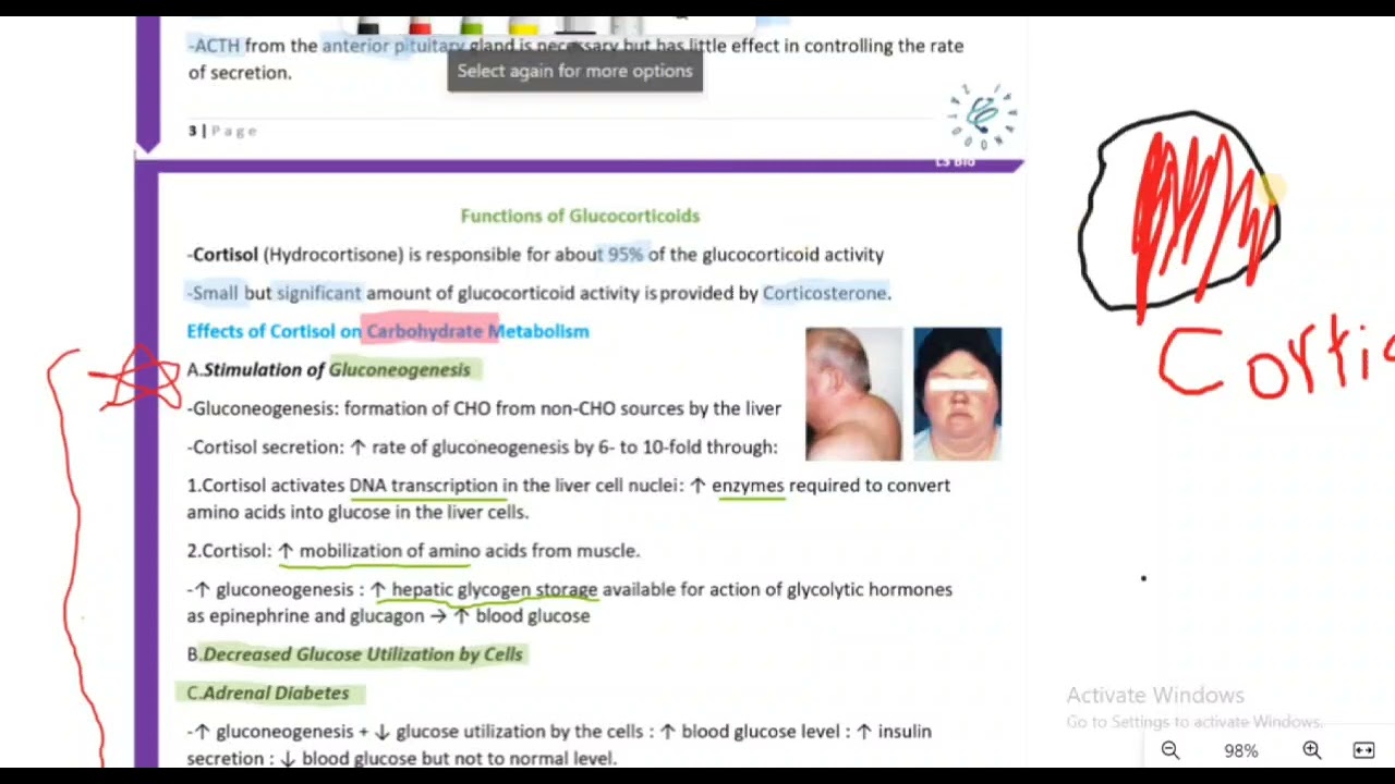 L3 Bio part2(steroid hormones) Endo41 - YouTube