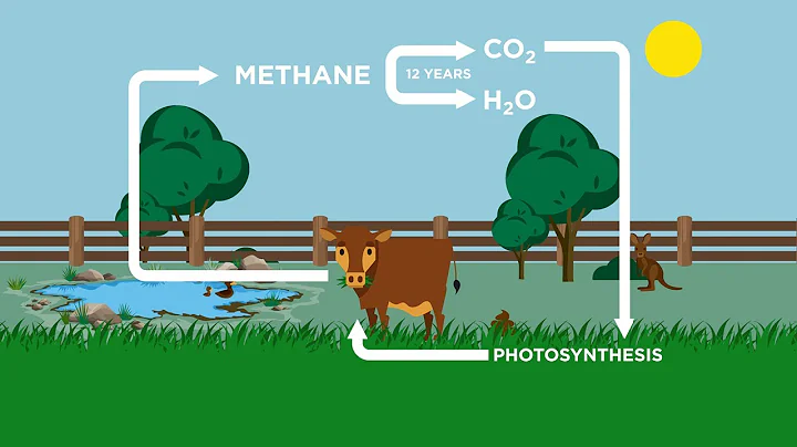 How can livestock be a part of the climate solution? The natural carbon cycle explained. - DayDayNews