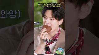 Jungwon Jay Jake Sunghoon And Their Love For Coffee Buns  Smelling It jungwon jay jake sunghoon