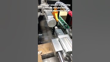 Servo motor automatic screen printing machine for small glass bottles