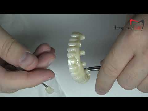 Полное видео циркон и мио, для спонсоров канала!