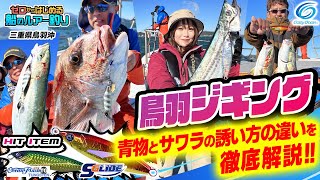 【ジギング】連発鳥羽ジギング！ 青物とサワラの誘い方の違いを徹底解説