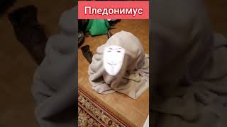 Все виды анонимусов