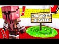 STEF COSTRUISCE LA SUA ZONA SEGRETA! - MINECRAFT *VANILLA*