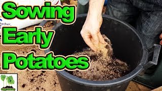 How To Grow First Early Potatoes In Containers (2018) (Best Crops Ever)