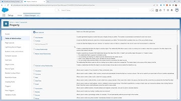 Custom Fields on Custom Object