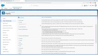 Custom Fields on Custom Object