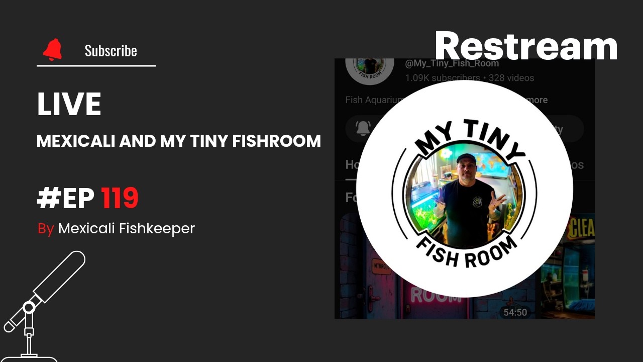 Ep 119 Mexicali and My Tiny Fishroom