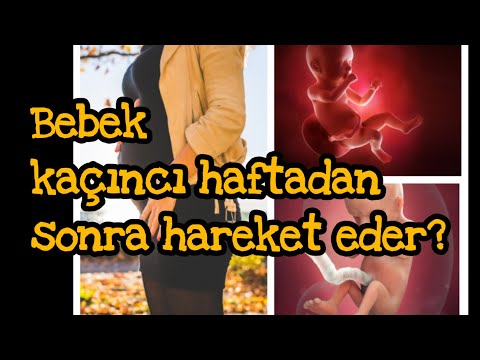 Video: Çocuk Hangi Haftaya Kadar Hareket Eder?