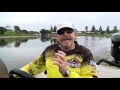 Estuary Perch