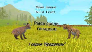 видео: Мини фильм  картинка: Мини фильм